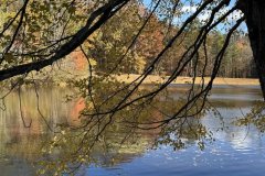 1025-photo-Mark-Cronin