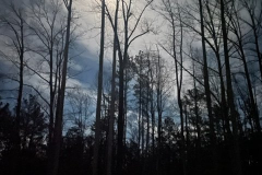 Beauty-of-Winter-2-Courtesy-Graham-Family