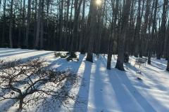 Beauty-of-Winter-Courtesy-Graham-Family