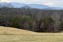 Christmas-Day-2023-Mark-Stoler