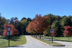 Entrance-Corridor-Fall-Colors-Oct-2023-Courtesy-SS-Davis-Family