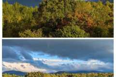 Fall-102023-Dee-Walsh