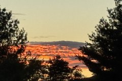 Fall-2025-photo-Mark-Cronin