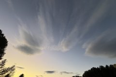 Fall-25-photo-Mark-Cronin