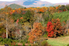 Fall-Glory-in-the-Mountains-Courtesy-Nicholas-Family