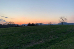Favorite-Tree-at-Sundown-Courtesy-Magness-Family