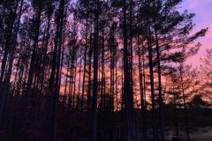 February-2023-Sunset-Mark-Cronin