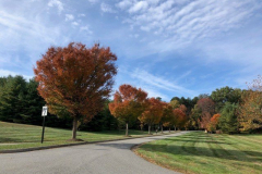 Flintrock-Way-Fall-2019-Courtesy-Dottie-McFalls