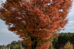 Flintrock-in-Fall-2018-4-2-19