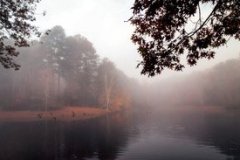 Foggy-Pond-1-Fall-2023-Courtesy-M-Bachmann