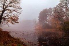 Foggy-Pond-2-Fall-2023-Courtesy-M-Bachmann