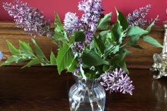 Garden-Flowers-2-Courtesy-Cronin-Family