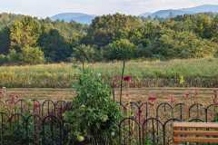 Hazy-Hot-and-Humid-923-Dee-Walsh