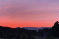 Hot-August-Night-823-Mark-Cronin