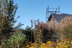 Indian-Summer-Colors-11-10-20-Courtesy-Walsh-Family