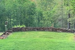 Inquisitive-Deer-June-2020-Courtesy-Cronin-Family