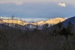 January-2024-Dee-Walsh