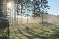 Mist-in-the-Trees-Courtesy-SS-Davis-Family
