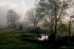 Morning-Mists-Courtesy-Nicholas-Family