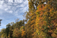 Northside-2-Fall-2019-Courtesy-Dottie-McFalls