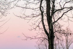 Northside-Sunrise-edited-4-2-19