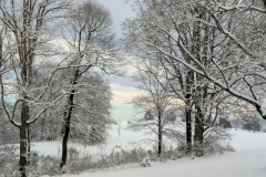 Northside-Winter-4-2-19