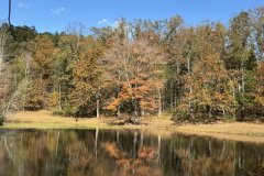 October-2025-photo-Mark-Cronin