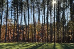 October-25-photo-Mark-Cronin