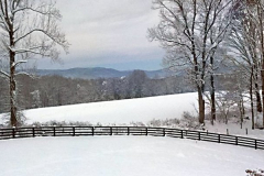 Forest Winter Landscape-2