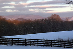 Forest Winter Landscape
