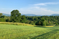 Photo-Gallery-Stoler-Property