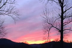 Sunset Over Forest-2