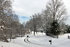 Winter Road Landscape