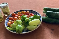 Plentiful-Garden-Darlene-Jordan