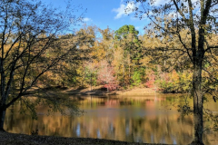 Pond-in-Fall-2018-4-2-19