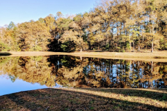 Pond-in-Reflection-4-2-19