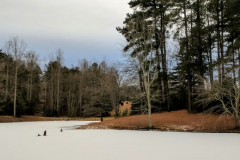 Pond-in-Winter-2018-4-2-19