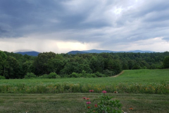 Rain-is-Coming-2-Courtesy-Walsh-Family