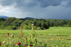 Rain-is-Coming-Courtesy-Walsh-Family