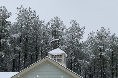 Snowing-on-our-Fox-Courtesy-Cronin-Family