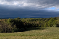 Spring-26-Walsh-Property