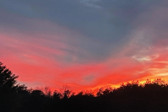 Sun-Bowl-Courtesy-Graham-Family