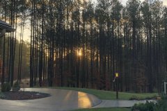 Sunlight-in-the-Trees-Jan-2021-Courtesy-Cronin-Family