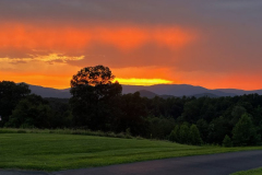 Sunset-Stunner-Courtesy-Graham-Family