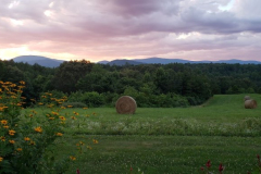 Sunset-on-the-South-Side-2-Courtesy-Walsh-Family