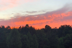 Sunset-over-Trees-Courtesy-Magness-Family