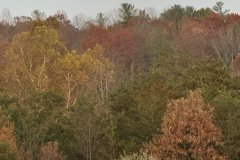 Super-Moon-11-25-photo-Burke-Graham