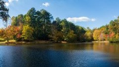 Tree-Colors-at-Pond-2-Fall-2023-Courtesy-M-Bachmann