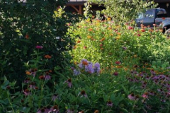 Where-the-Wild-Things-Grow-Summer-2022-Courtesy-Walsh-Family