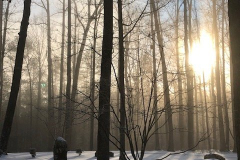 Winter-Courtesy-Graham-Family